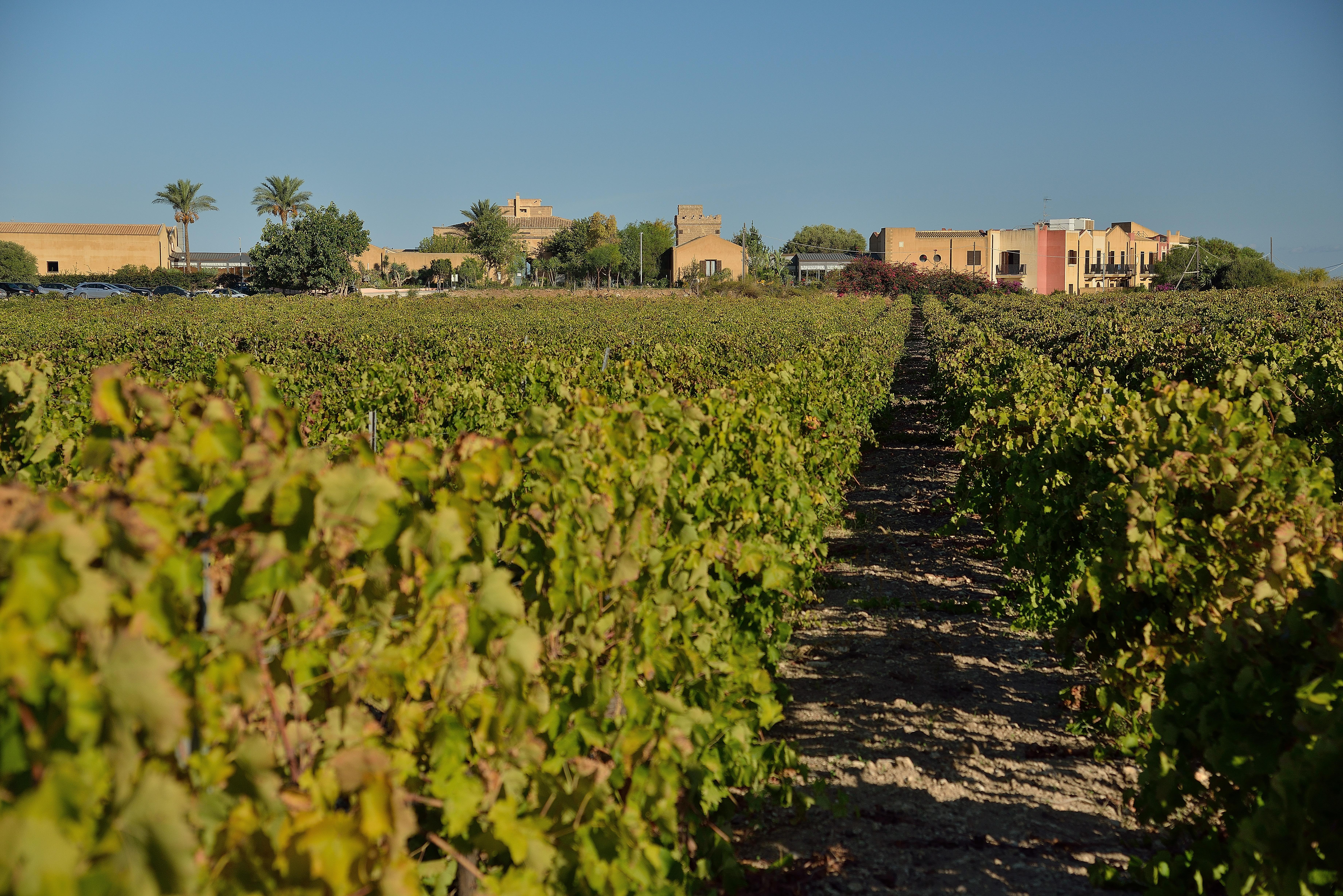 Hotel Baglio Oneto dei Principi di San Lorenzo - Luxury Wine Resort Marsala Esterno foto